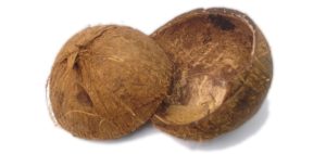 coconut-shell-